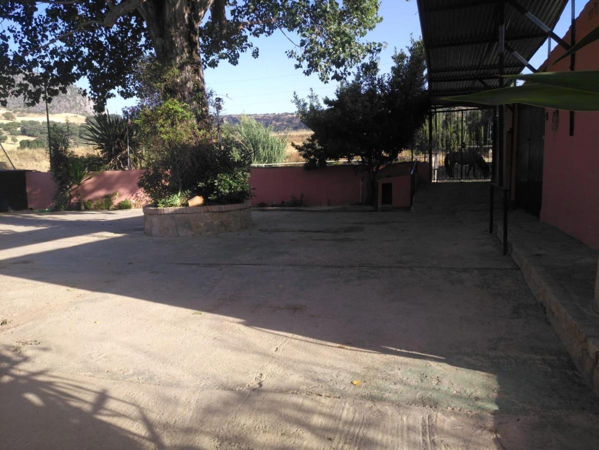 Casa Rural Las Palmeras Ronda Exterior photo